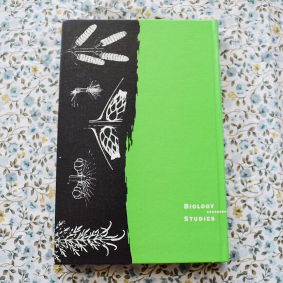 Morphology and Evolution of Fossil Plants Biology Studies - Picture 2 of 3